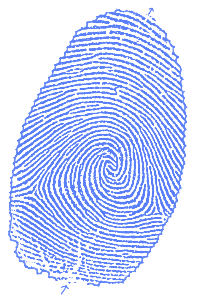 JW_thumbprint_with_border_maze